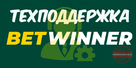 betwinner техподдержка